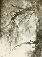 Picture 127 of 134 from Paris and its story, by T. Okey; illustrated by Katherine Kimball & O. F. M. Ward (1904), leaf 484