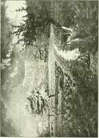 An illustration from Paris : Notizen (1908)