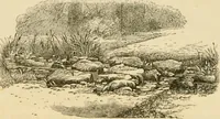 An illustration from The parks and gardens of Paris, considered in relation to the wants of other cities and of the public and private gardens; being notes on a study of Paris gardens (1878)