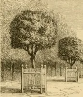 An illustration from The parks and gardens of Paris, considered in relation to the wants of other cities and of the public and private gardens; being notes on a study of Paris gardens (1878)