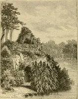 An illustration from The parks and gardens of Paris, considered in relation to the wants of other cities and of the public and private gardens; being notes on a study of Paris gardens (1878)