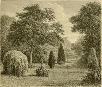 An illustration from The parks and gardens of Paris, considered in relation to the wants of other cities and of the public and private gardens; being notes on a study of Paris gardens (1878)