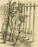 An illustration from The parks and gardens of Paris, considered in relation to the wants of other cities and of the public and private gardens; being notes on a study of Paris gardens (1878)