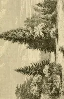 An illustration from The parks and gardens of Paris, considered in relation to the wants of other cities and of the public and private gardens; being notes on a study of Paris gardens (1878)
