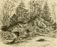 An illustration from The parks and gardens of Paris, considered in relation to the wants of other cities and of the public and private gardens; being notes on a study of Paris gardens (1878)