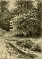 An illustration from The parks and gardens of Paris, considered in relation to the wants of other cities and of the public and private gardens; being notes on a study of Paris gardens (1878)