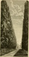 An illustration from The parks and gardens of Paris, considered in relation to the wants of other cities and of the public and private gardens; being notes on a study of Paris gardens (1878)