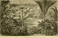 An illustration from The parks and gardens of Paris, considered in relation to the wants of other cities and of the public and private gardens; being notes on a study of Paris gardens (1878)