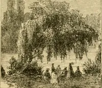 An illustration from The parks and gardens of Paris, considered in relation to the wants of other cities and of the public and private gardens; being notes on a study of Paris gardens (1878)
