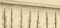An illustration from The parks and gardens of Paris, considered in relation to the wants of other cities and of the public and private gardens; being notes on a study of Paris gardens (1878)