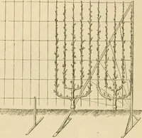 An illustration from The parks and gardens of Paris, considered in relation to the wants of other cities and of the public and private gardens; being notes on a study of Paris gardens (1878)