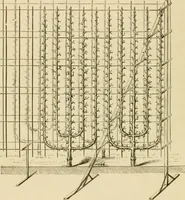 An illustration from The parks and gardens of Paris, considered in relation to the wants of other cities and of the public and private gardens; being notes on a study of Paris gardens (1878)