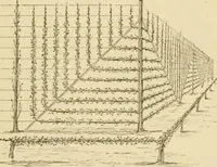 An illustration from The parks and gardens of Paris, considered in relation to the wants of other cities and of the public and private gardens; being notes on a study of Paris gardens (1878)