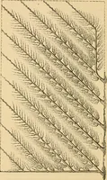 An illustration from The parks and gardens of Paris, considered in relation to the wants of other cities and of the public and private gardens; being notes on a study of Paris gardens (1878)