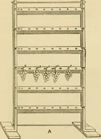 An illustration from The parks and gardens of Paris, considered in relation to the wants of other cities and of the public and private gardens; being notes on a study of Paris gardens (1878)