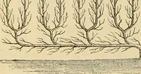 An illustration from The parks and gardens of Paris, considered in relation to the wants of other cities and of the public and private gardens; being notes on a study of Paris gardens (1878)