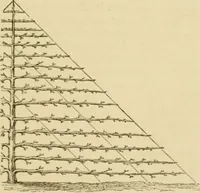 An illustration from The parks and gardens of Paris, considered in relation to the wants of other cities and of the public and private gardens; being notes on a study of Paris gardens (1878)