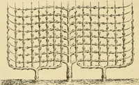 An illustration from The parks and gardens of Paris, considered in relation to the wants of other cities and of the public and private gardens; being notes on a study of Paris gardens (1878)
