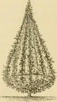 An illustration from The parks and gardens of Paris, considered in relation to the wants of other cities and of the public and private gardens; being notes on a study of Paris gardens (1878)
