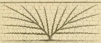 An illustration from The parks and gardens of Paris, considered in relation to the wants of other cities and of the public and private gardens; being notes on a study of Paris gardens (1878)