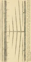 An illustration from The parks and gardens of Paris, considered in relation to the wants of other cities and of the public and private gardens; being notes on a study of Paris gardens (1878)