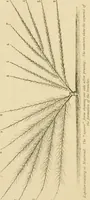 An illustration from The parks and gardens of Paris, considered in relation to the wants of other cities and of the public and private gardens; being notes on a study of Paris gardens (1878)