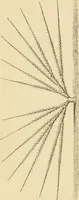 An illustration from The parks and gardens of Paris, considered in relation to the wants of other cities and of the public and private gardens; being notes on a study of Paris gardens (1878)