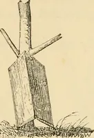 An illustration from The parks and gardens of Paris, considered in relation to the wants of other cities and of the public and private gardens; being notes on a study of Paris gardens (1878)