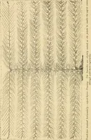 An illustration from The parks and gardens of Paris, considered in relation to the wants of other cities and of the public and private gardens; being notes on a study of Paris gardens (1878)