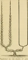 An illustration from The parks and gardens of Paris, considered in relation to the wants of other cities and of the public and private gardens; being notes on a study of Paris gardens (1878)
