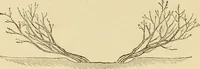 An illustration from The parks and gardens of Paris, considered in relation to the wants of other cities and of the public and private gardens; being notes on a study of Paris gardens (1878)