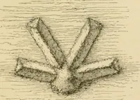 An illustration from The parks and gardens of Paris, considered in relation to the wants of other cities and of the public and private gardens; being notes on a study of Paris gardens (1878)
