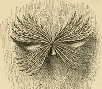 An illustration from The parks and gardens of Paris, considered in relation to the wants of other cities and of the public and private gardens; being notes on a study of Paris gardens (1878)