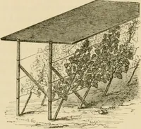 An illustration from The parks and gardens of Paris, considered in relation to the wants of other cities and of the public and private gardens; being notes on a study of Paris gardens (1878)