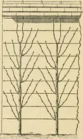 An illustration from The parks and gardens of Paris, considered in relation to the wants of other cities and of the public and private gardens; being notes on a study of Paris gardens (1878)