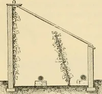 An illustration from The parks and gardens of Paris, considered in relation to the wants of other cities and of the public and private gardens; being notes on a study of Paris gardens (1878)
