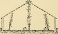 An illustration from The parks and gardens of Paris, considered in relation to the wants of other cities and of the public and private gardens; being notes on a study of Paris gardens (1878)