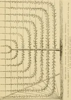 An illustration from The parks and gardens of Paris, considered in relation to the wants of other cities and of the public and private gardens; being notes on a study of Paris gardens (1878)
