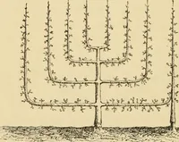 An illustration from The parks and gardens of Paris, considered in relation to the wants of other cities and of the public and private gardens; being notes on a study of Paris gardens (1878)