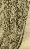 An illustration from The parks and gardens of Paris, considered in relation to the wants of other cities and of the public and private gardens; being notes on a study of Paris gardens (1878)