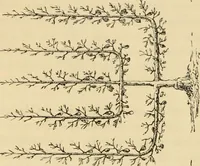 An illustration from The parks and gardens of Paris, considered in relation to the wants of other cities and of the public and private gardens; being notes on a study of Paris gardens (1878)