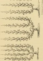 An illustration from The parks and gardens of Paris, considered in relation to the wants of other cities and of the public and private gardens; being notes on a study of Paris gardens (1878)