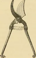 An illustration from The parks and gardens of Paris, considered in relation to the wants of other cities and of the public and private gardens; being notes on a study of Paris gardens (1878)