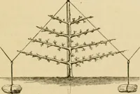An illustration from The parks and gardens of Paris, considered in relation to the wants of other cities and of the public and private gardens; being notes on a study of Paris gardens (1878)