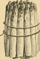 An illustration from The parks and gardens of Paris, considered in relation to the wants of other cities and of the public and private gardens; being notes on a study of Paris gardens (1878)