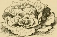 An illustration from The parks and gardens of Paris, considered in relation to the wants of other cities and of the public and private gardens; being notes on a study of Paris gardens (1878)