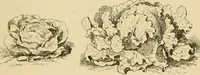 An illustration from The parks and gardens of Paris, considered in relation to the wants of other cities and of the public and private gardens; being notes on a study of Paris gardens (1878)