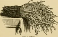 An illustration from The parks and gardens of Paris, considered in relation to the wants of other cities and of the public and private gardens; being notes on a study of Paris gardens (1878)