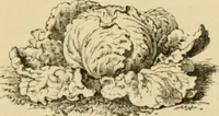 An illustration from The parks and gardens of Paris, considered in relation to the wants of other cities and of the public and private gardens; being notes on a study of Paris gardens (1878)