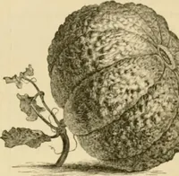 An illustration from The parks and gardens of Paris, considered in relation to the wants of other cities and of the public and private gardens; being notes on a study of Paris gardens (1878)